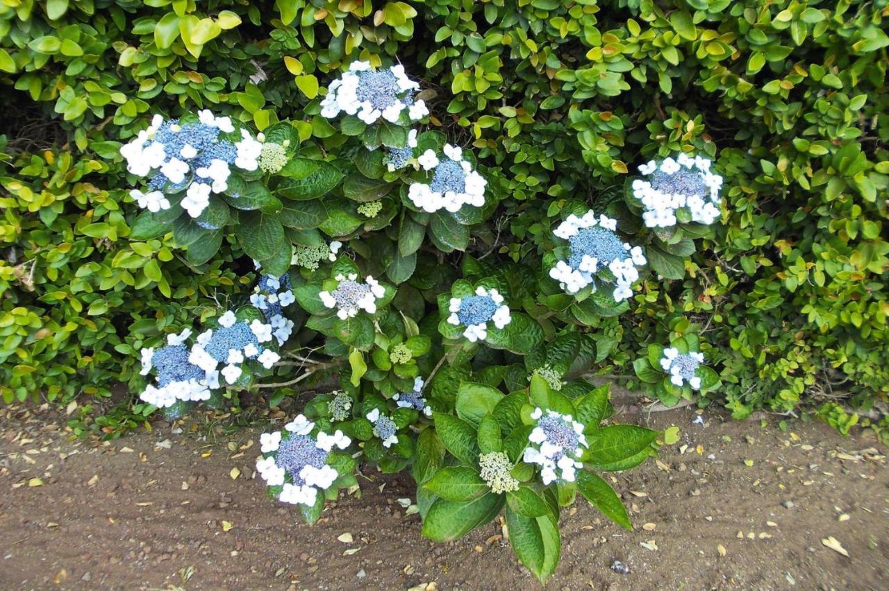 Village Nossa Senhora Da Estrela, Lagoa, Sao Miguel, Azores Holiday home *